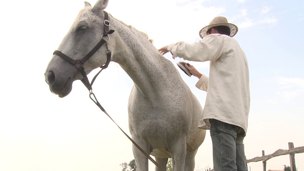 Countryside girl manages to perform a cowgirl ride with her anus